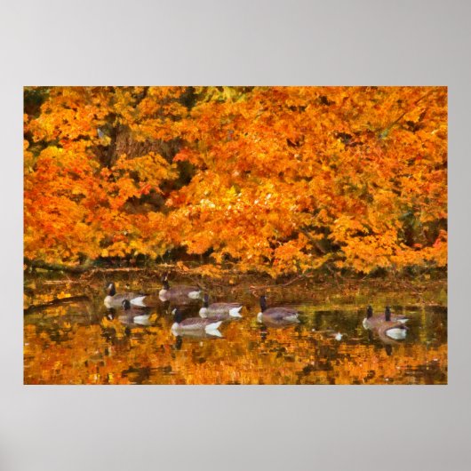 Tier - kanadische Gänse Poster (Vorne)
