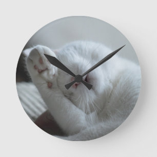 Tier, Katze, Feline Runde Wanduhr