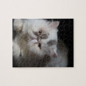 Tier, Katze, Weiß, Haustier, Kätzchen, abgeschiede Puzzle (Horizontal)