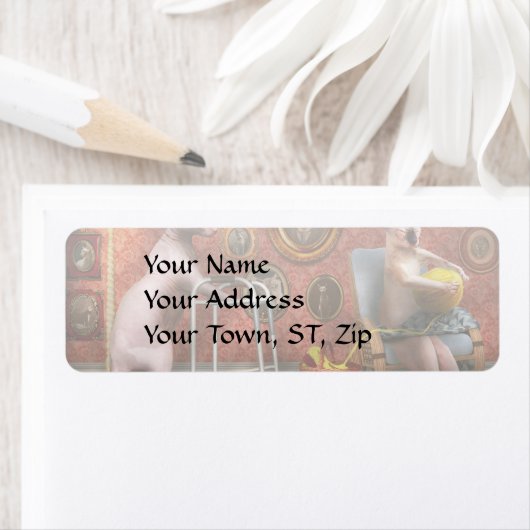 Tier - Katze - Zuhause für die Ruhestandsregelung  (Insitu)