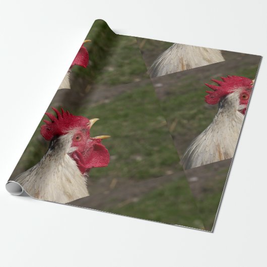 Tier, Küken, Huhn, Bauernhof, niedlich, Vogel, Bab Geschenkpapier (Ungerollt)