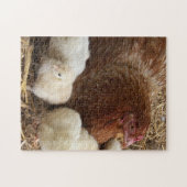 Tier, Küken, Huhn, Bauernhof, niedlich, Vogel, Bab Puzzle (Horizontal)