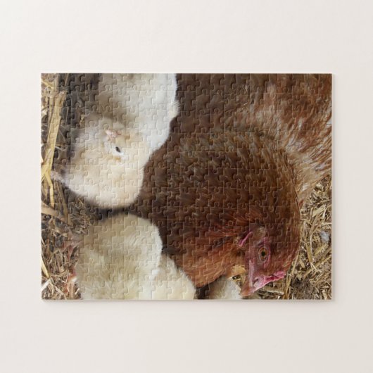 Tier, Küken, Huhn, Bauernhof, niedlich, Vogel, Bab Puzzle (Horizontal)