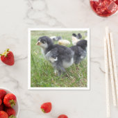 Tier, Küken, Huhn, Bauernhof, niedlich, Vogel, Bab Serviette (Beispiel)