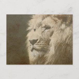 Tier Löwenkopf Der König Moderne Pop-Art-Vorlage Postkarte