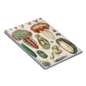 Tier mit Tentacles Illustration Notizblock (Rechte Seite)