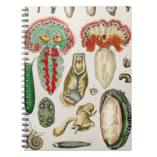 Tier mit Tentacles Illustration Notizblock (Vorderseite)