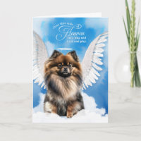 Tier-Mitleid Verlust Hund Tri Color Pomeranian Eng