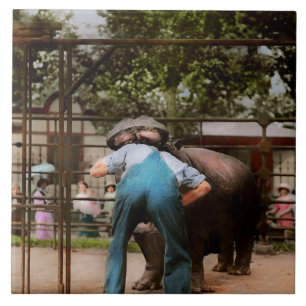 Tier - Nilpferd - Dumme menschliche Tricks 1910 Fliese