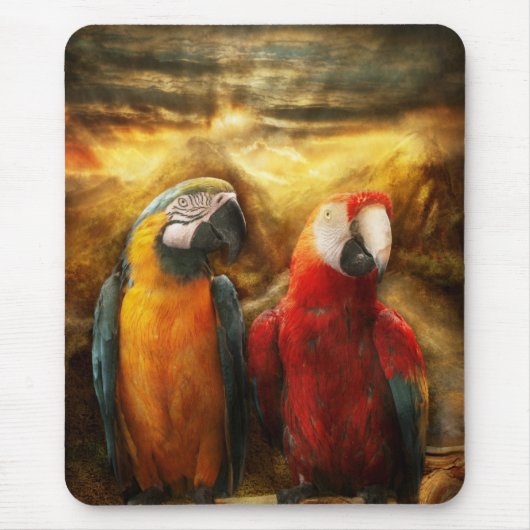 Tier - Papagei - Papagei-dise Mousepad (Vorne)