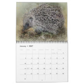 Tier Pets des Tier-Liebe-Schicksals-Schicksals Kalender (Jan 2027)