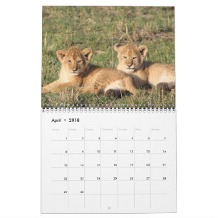 Tier Pets des Tier-Liebe-Schicksals-Schicksals Kalender