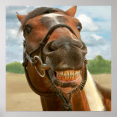 Tier - Pferd - endlich habe ich meine Spange got Poster (Vorne)