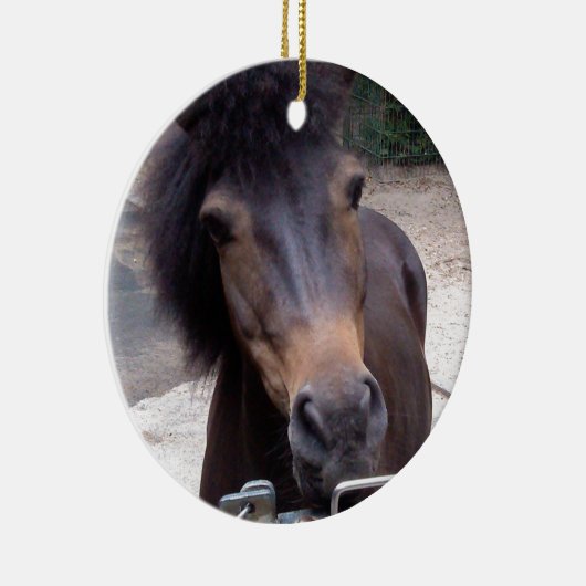 Tier, Pferd, Pony Keramik Ornament (Rechts)