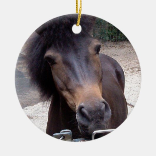 Tier, Pferd, Pony Keramik Ornament (Vorne)