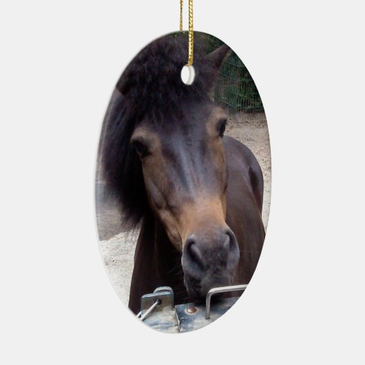 Tier, Pferd, Pony Keramik Ornament (Rechts)