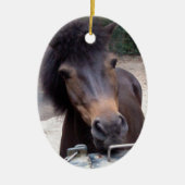 Tier, Pferd, Pony Keramik Ornament (Vorne)