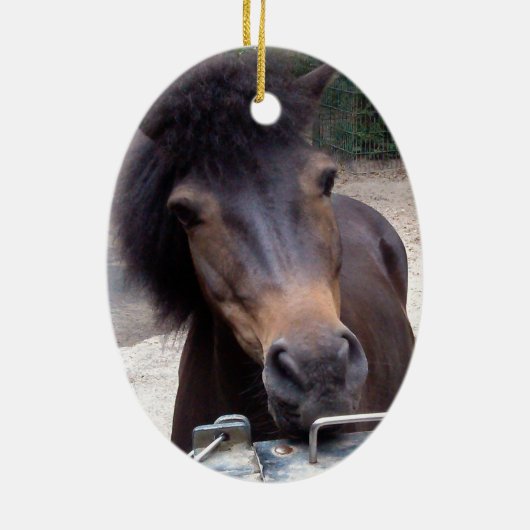 Tier, Pferd, Pony Keramik Ornament (Hinten)