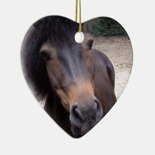 Tier, Pferd, Pony Keramikornament (Rechts)