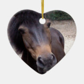 Tier, Pferd, Pony Keramikornament (Vorne)