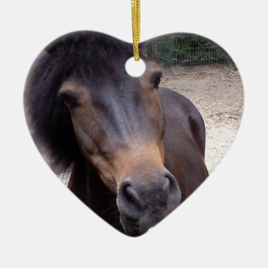 Tier, Pferd, Pony Keramikornament (Vorne)