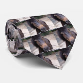 Tier, Pferd, Pony Krawatte (Gerollt)