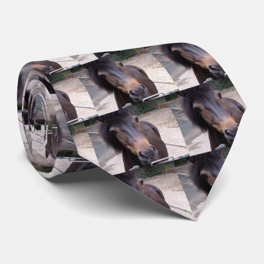 Tier, Pferd, Pony Krawatte (Gerollt)