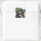 Tier, Säugetier, Hund Quadratischer Aufkleber (Tasche)