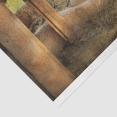 Tier - Schafe - gezählt Schafe Seidenpapier (Ausschnitt)