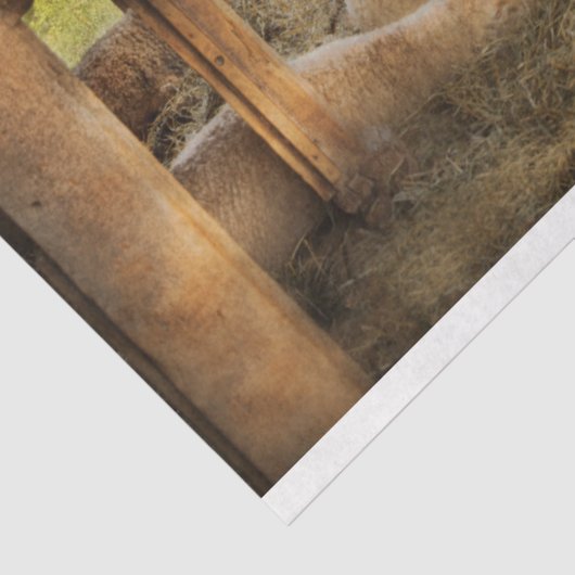 Tier - Schafe - gezählt Schafe Seidenpapier (Ausschnitt)