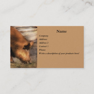 Tier - Schweine - Familien-Bindungen Visitenkarte