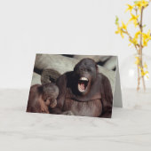 Tier-Set - Primate 1 Karte (Gelbe Blume)