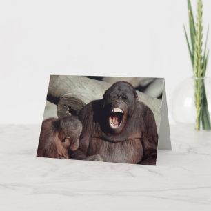 Tier-Set - Primate 1 Karte
