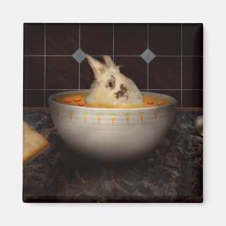 Tier - Sonne - Da ist ein Hase in meiner Suppe Magnet