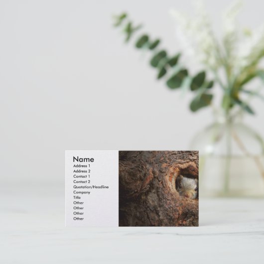 Tier - Squirrel - I'm not shy I'm an introvert Visitenkarte (Stehend Vorderseite)