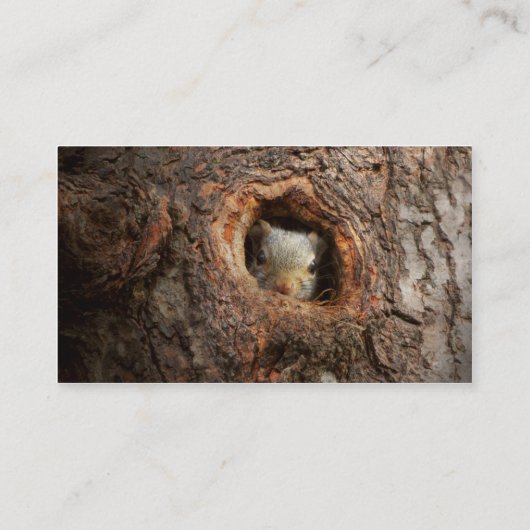 Tier - Squirrel - I'm not shy I'm an introvert Visitenkarte (Rückseite)