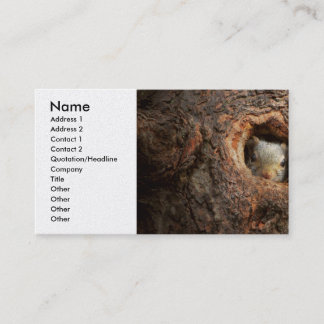 Tier - Squirrel - I'm not shy I'm an introvert Visitenkarte