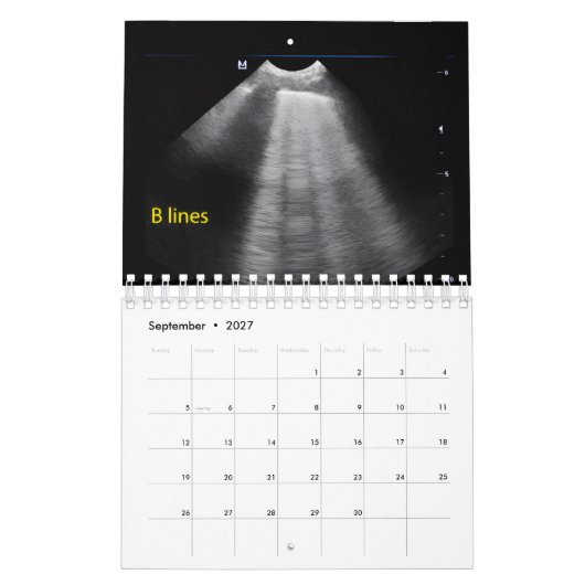 Tier-Ultraschall-Kalender Kalender (Sep 2027)