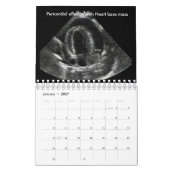 Tier-Ultraschall-Kalender Kalender (Jan 2027)