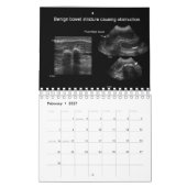 Tier-Ultraschall-Kalender Kalender (Feb 2027)