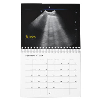Tier-Ultraschall-Kalender Kalender