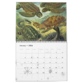 Tier- und Meereslebewesen im Vintagen Ozean Kalender (Jan 2026)