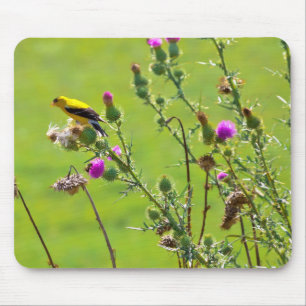 Tier - Vogel - Distel sing mir ein Lied Mousepad