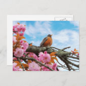 Tier - Vogel - Erster Frühlingsrobin Postkarte (Vorne/Hinten)