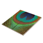 Tier - Vogel - Pfau-Feder Fliese (Seite)