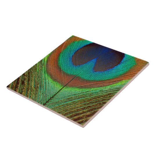 Tier - Vogel - Pfau-Feder Fliese (Seite)