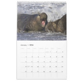 Tier-Wandkalender 2016 - Vögel und Säugetiere Kalender (Jan 2026)