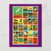Tierabc-Alphabet Diagrammlehrer und -anfänger Postkarte (Vorderseite)