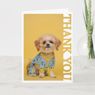 Tieradoption Tierarzt Bilderrahmen Danke