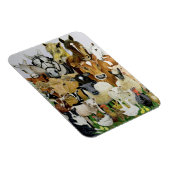 Tierallsorten Magnet (Rechte Seite)